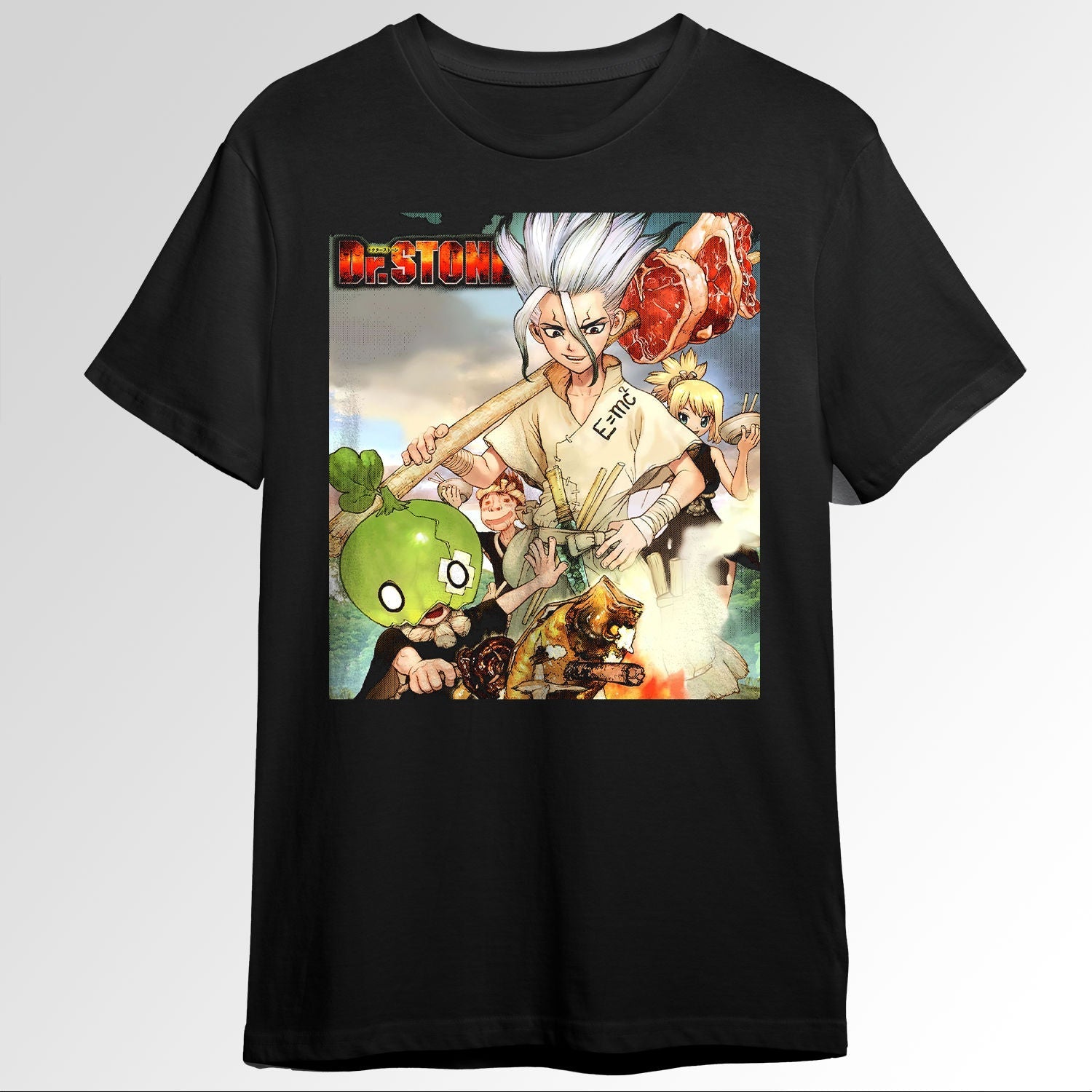 Dr Stone 77739952