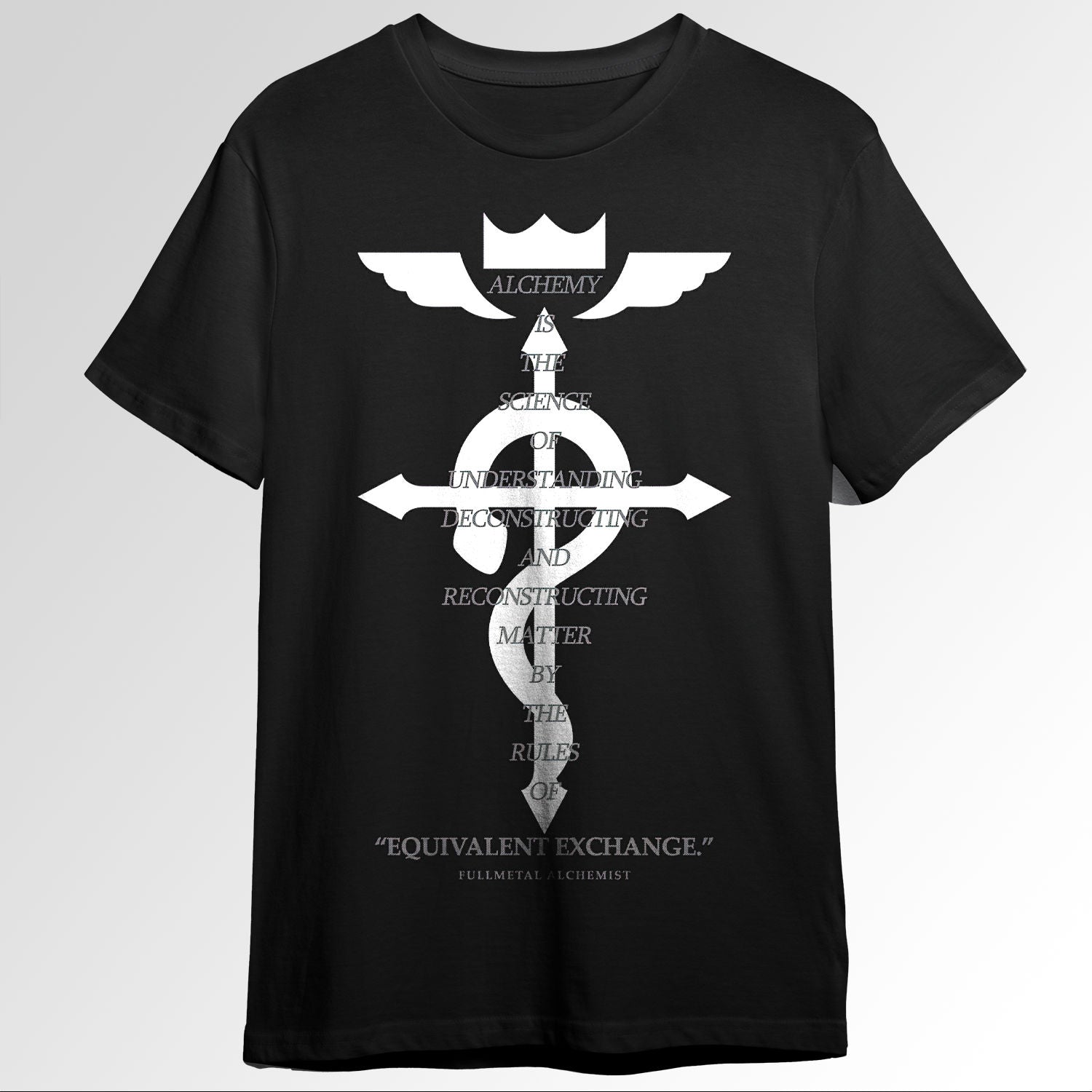 Fullmetal Alchemist Principle of Equivalent 54948869