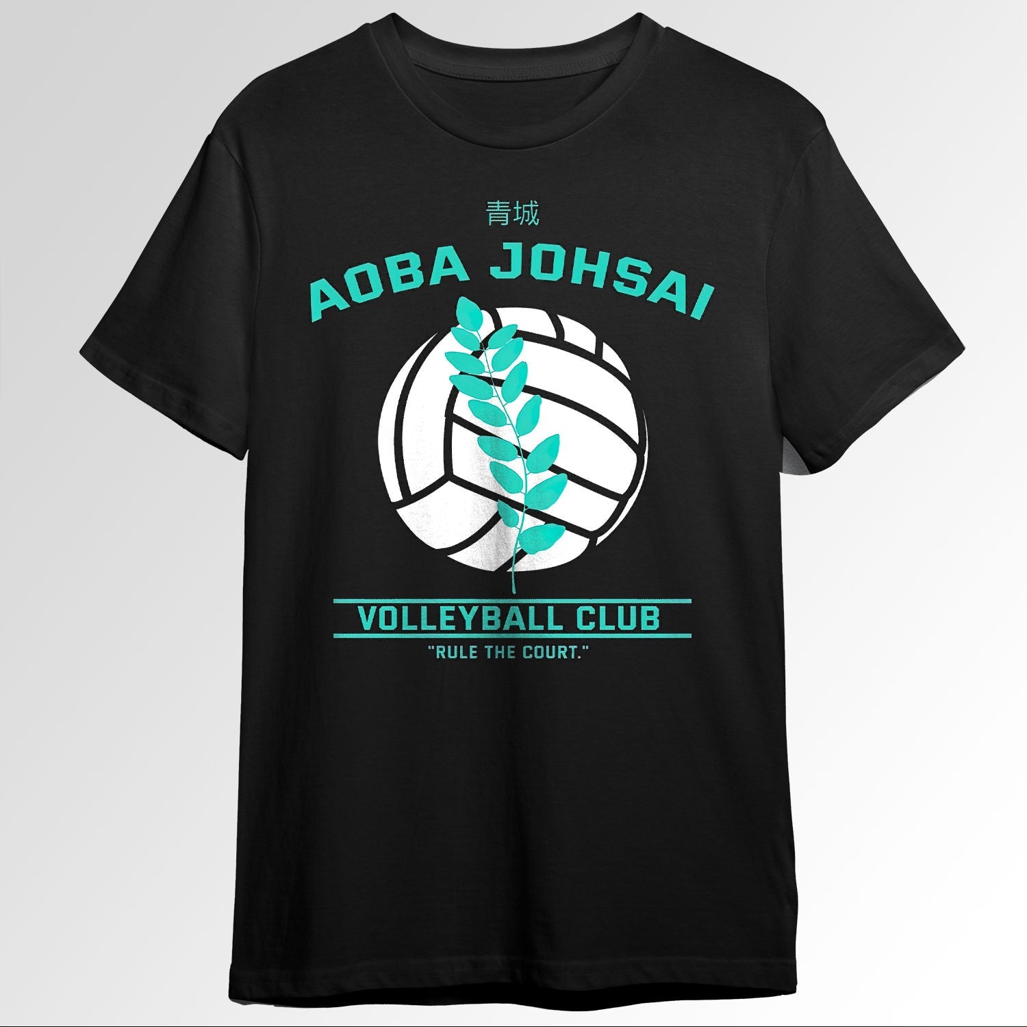 HaikyuuAoba Johsai High School Volleyball Cl 57582375