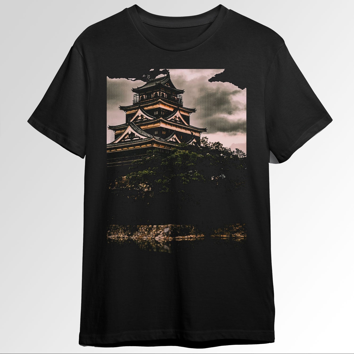 Japan 2 31610111