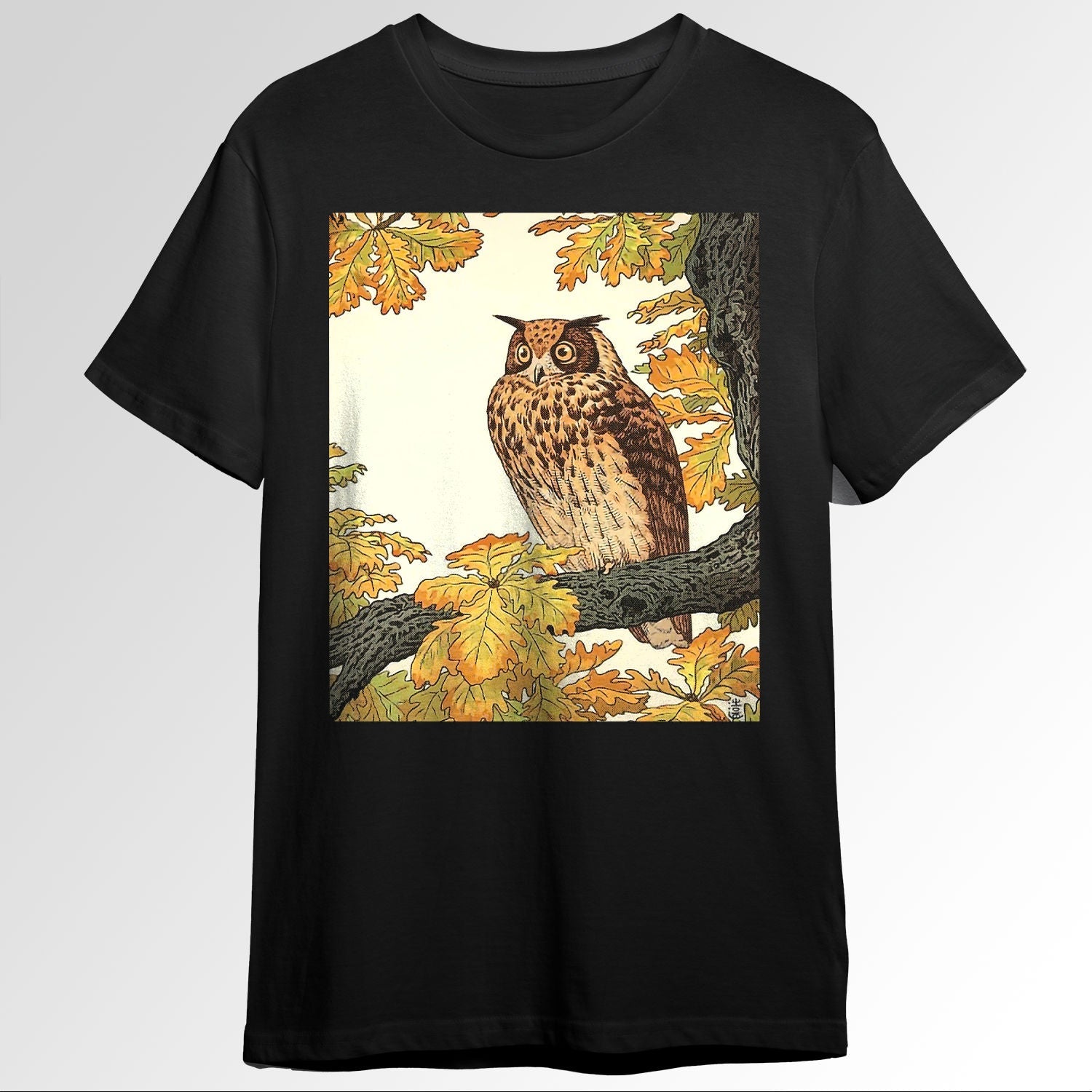 Japanese Aesthetic Owl Vintage Japan Woodblo Prin0887