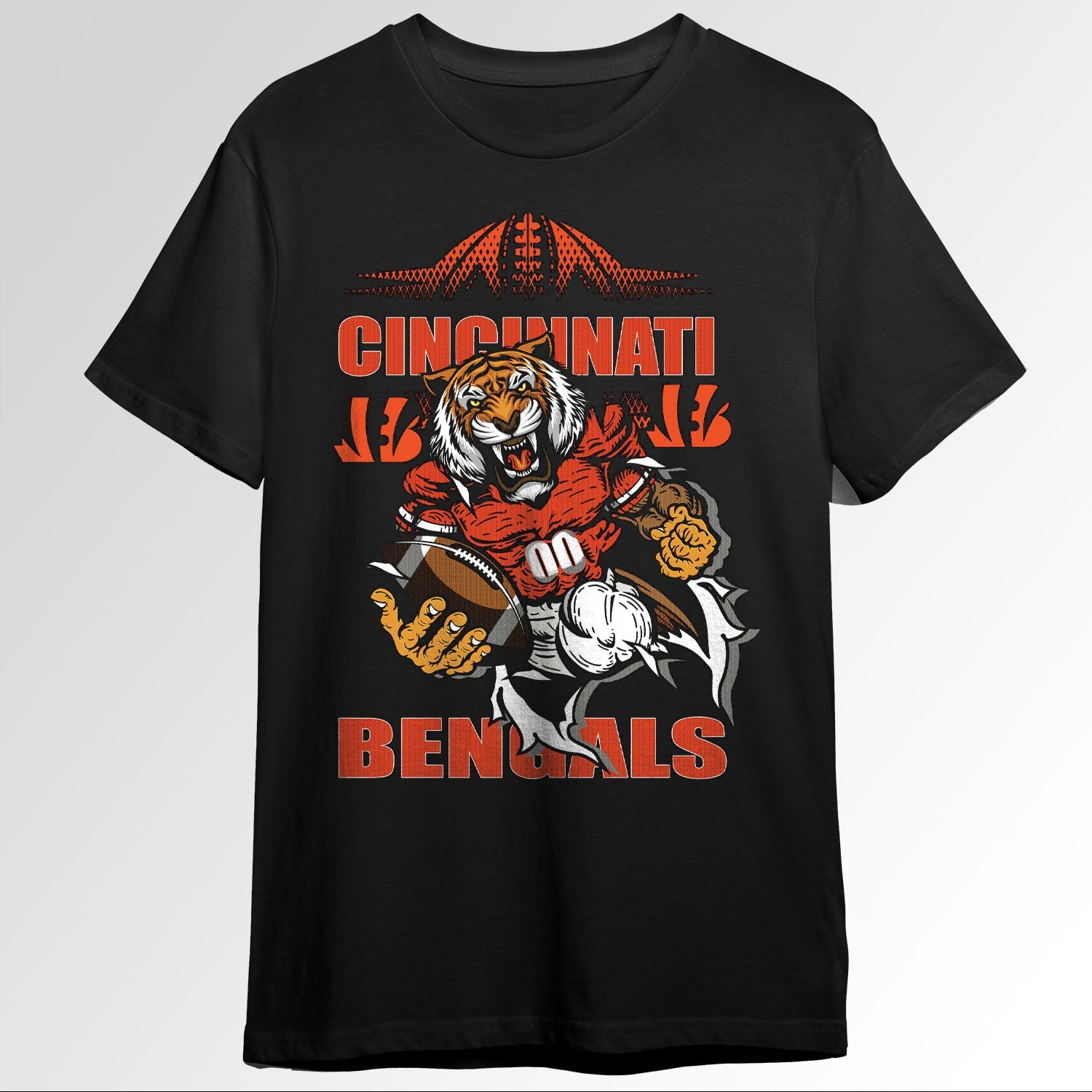 NFL 0910